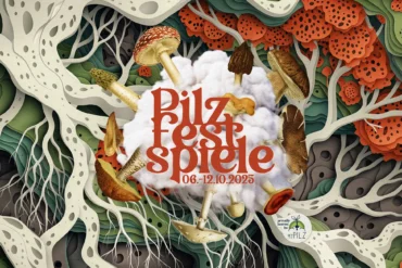 Brettspiele für die Krise (Interview mit fm4)