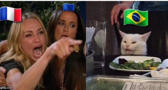 Das Meme, bei dem eine wütende, in Tränen aufgelöste Frau auf jemanden zeigt und im rechten Teil des Bilds eine weiße Katze mit einem frechen Gesichtsausdruck an einem Tisch vor einem Teller mit Essen sitzt. Ich habe über die Frau die Frankreichflagge und über die Katze die Brasilienflagge gebastelt
