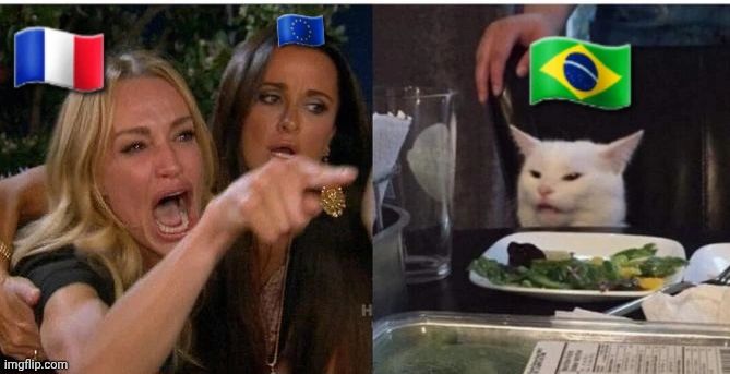 Das Meme, bei dem eine wütende, in Tränen aufgelöste Frau auf jemanden zeigt und im rechten Teil des Bilds eine weiße Katze mit einem frechen Gesichtsausdruck an einem Tisch vor einem Teller mit Essen sitzt. Ich habe über die Frau die Frankreichflagge und über die Katze die Brasilienflagge gebastelt